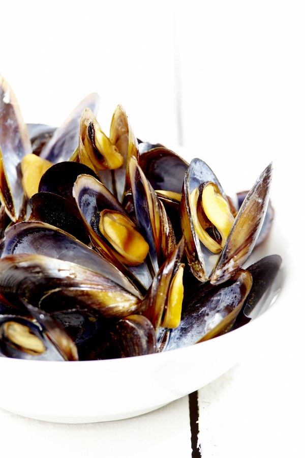 Moules à la crème