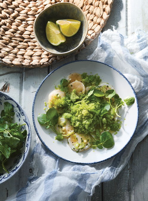 Ceviche de pétoncles et granité de concombres