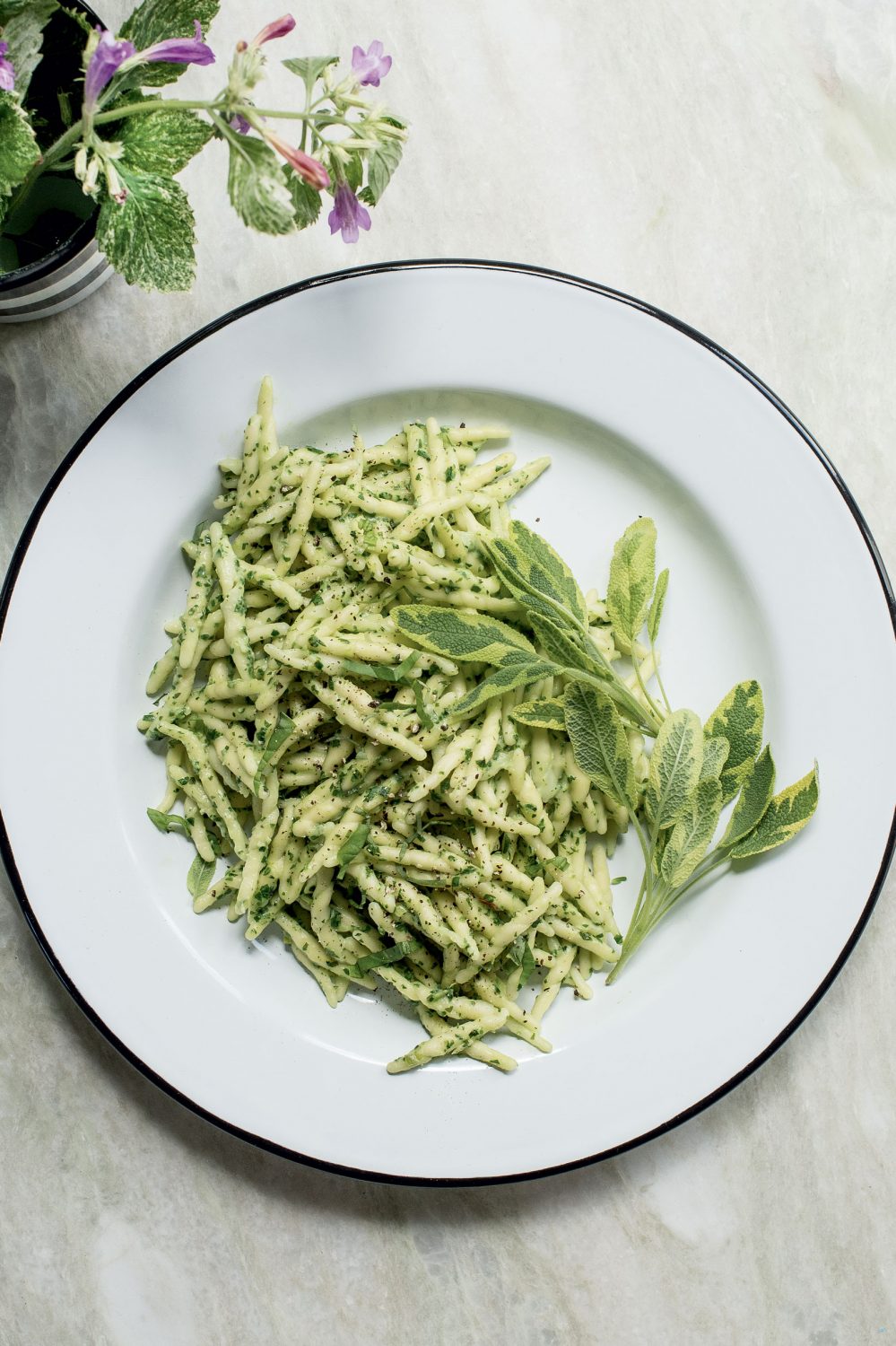 Pâtes à la ricotta et au pesto d’épinards et basilic